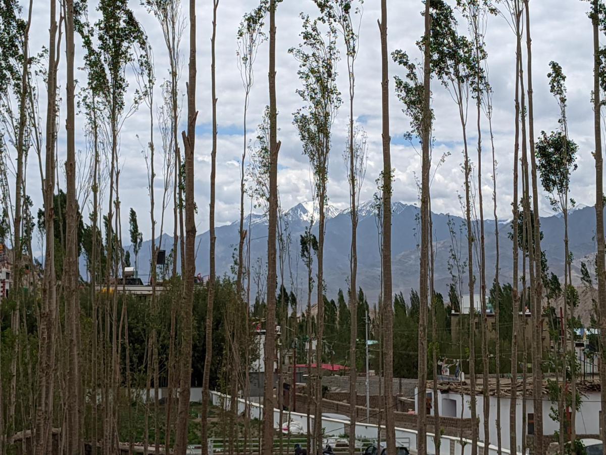 Chandan Guest House Leh Exterior foto
